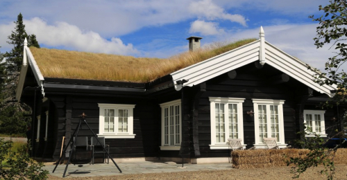 Viktoria Traditional Log House The Living Roof Is Amazing