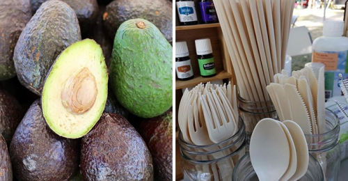 Company Turns Avocado Pit Waste Into Biodegradable Straws and Cutlery