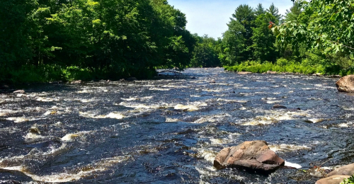 Beautiful 8 Acres Adirondack Riverfront Property on the St. Regis River for $42k