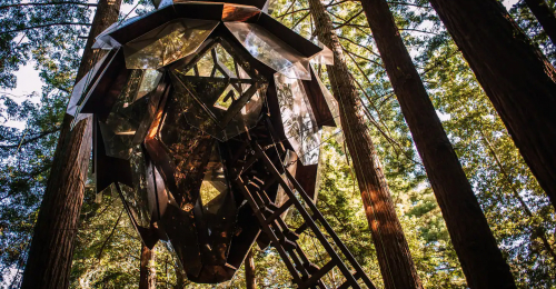 This Treehouse Will Immerse You in 360 Degree Views of the Forest