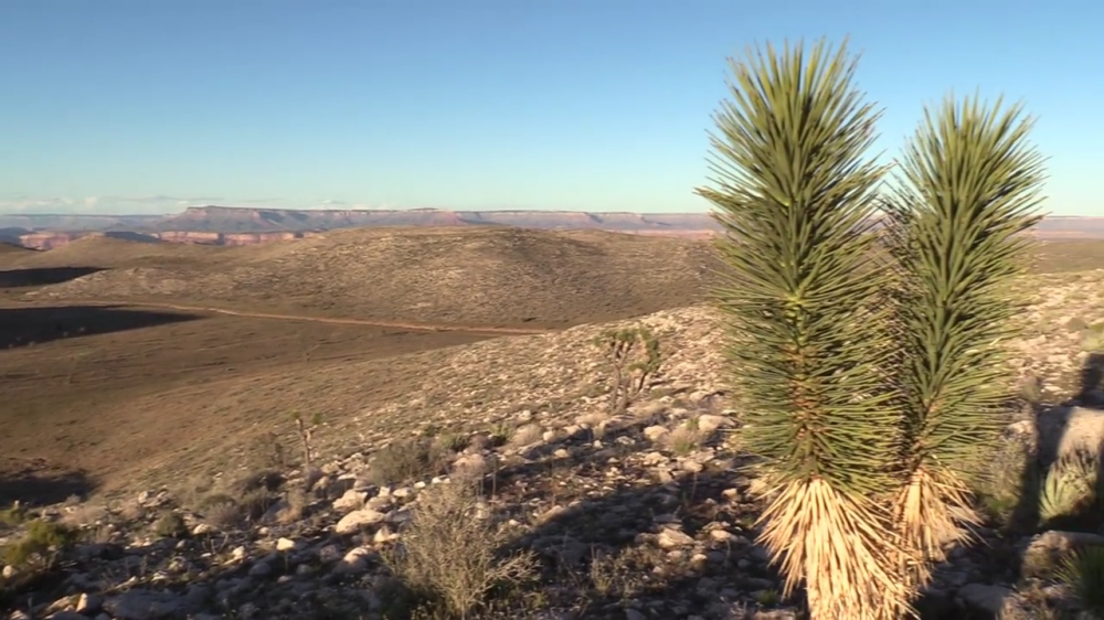 Cheap Land for Homesteading! Scouting 10 Acres for 3,750, Grand Canyon