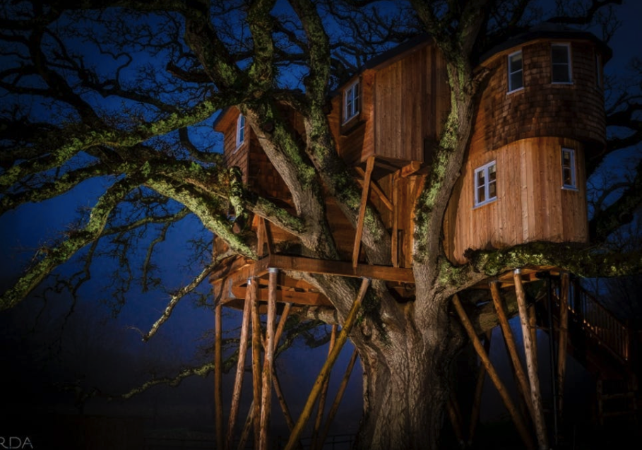 Treetops Treehouse In Devon Is Like Something Out Of A Fairytale