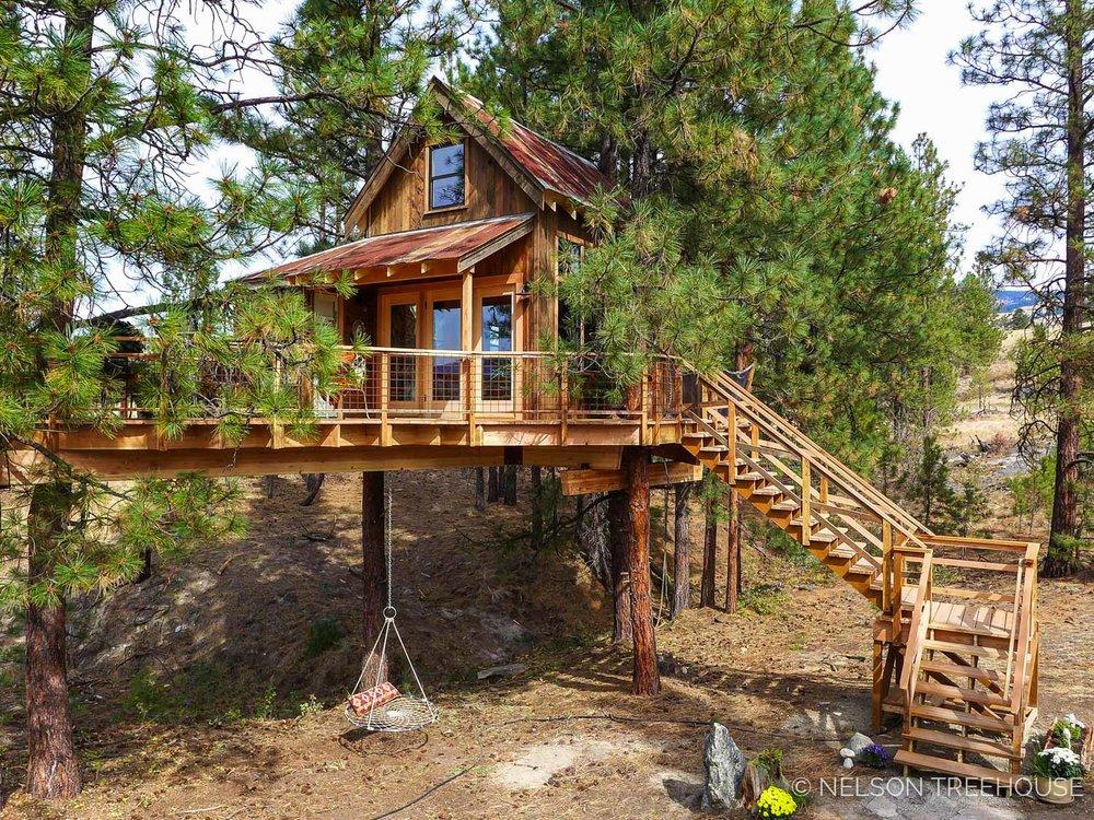 A Quaint Little Tree House in A Grove of Ponderosa Pines