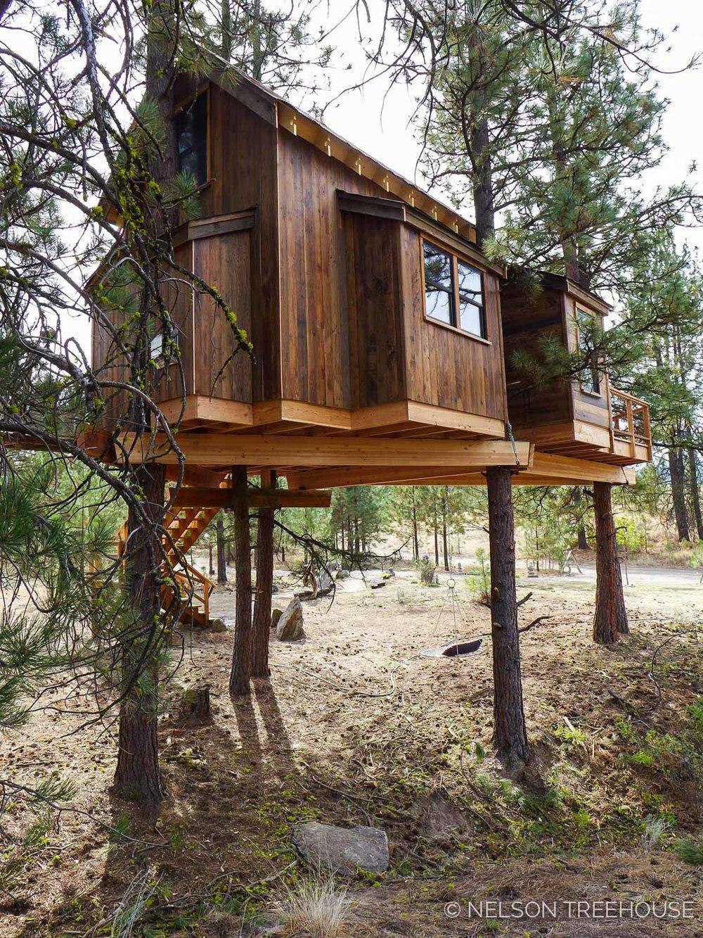 A Quaint Little Tree House in A Grove of Ponderosa Pines