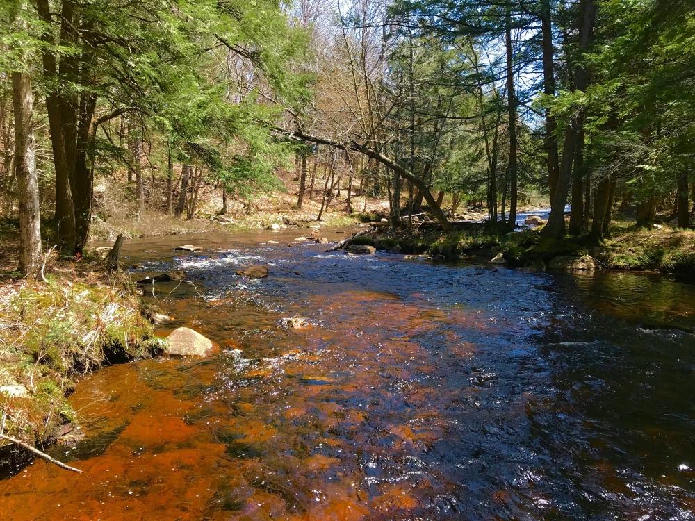 Beautiful 6 Acres Adirondack Trout Stream With Access to a Private Lake