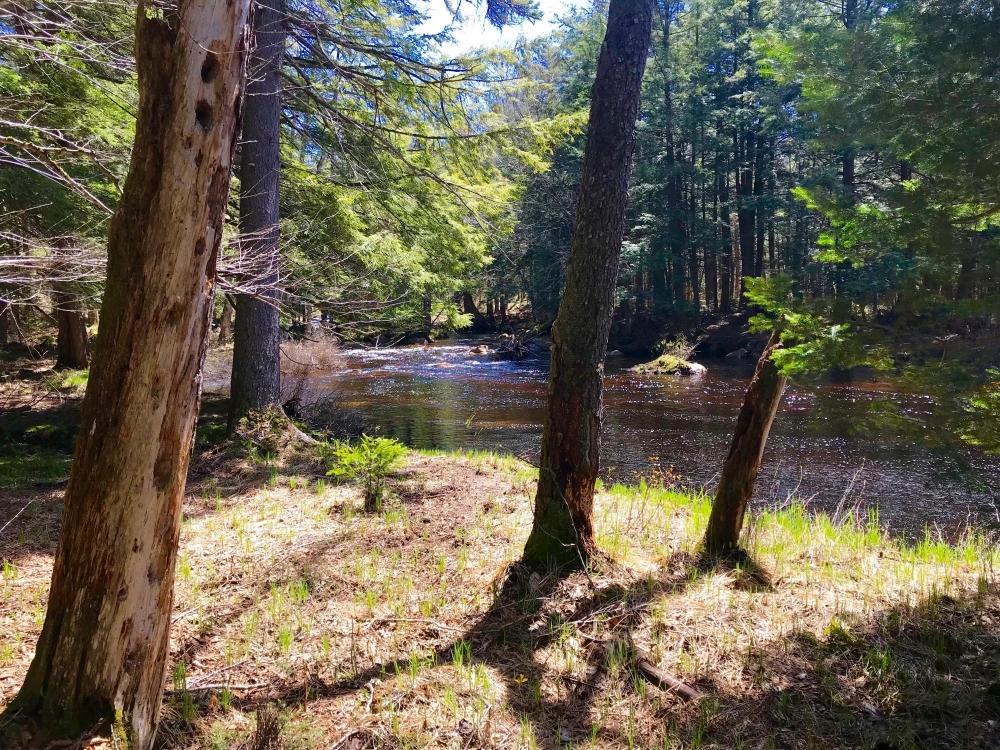 Beautiful 6 Acres Adirondack Trout Stream With Access to a Private Lake ...