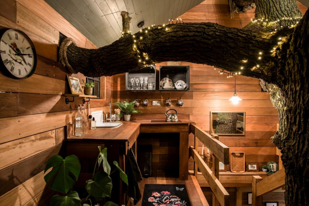 Stunning Old Oak Treehouse, Take A Peek Inside! Essex, England