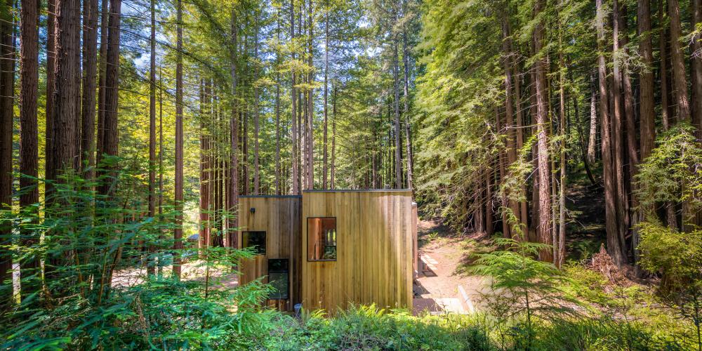 Sea Ranch Home amidst Majestic Redwoods