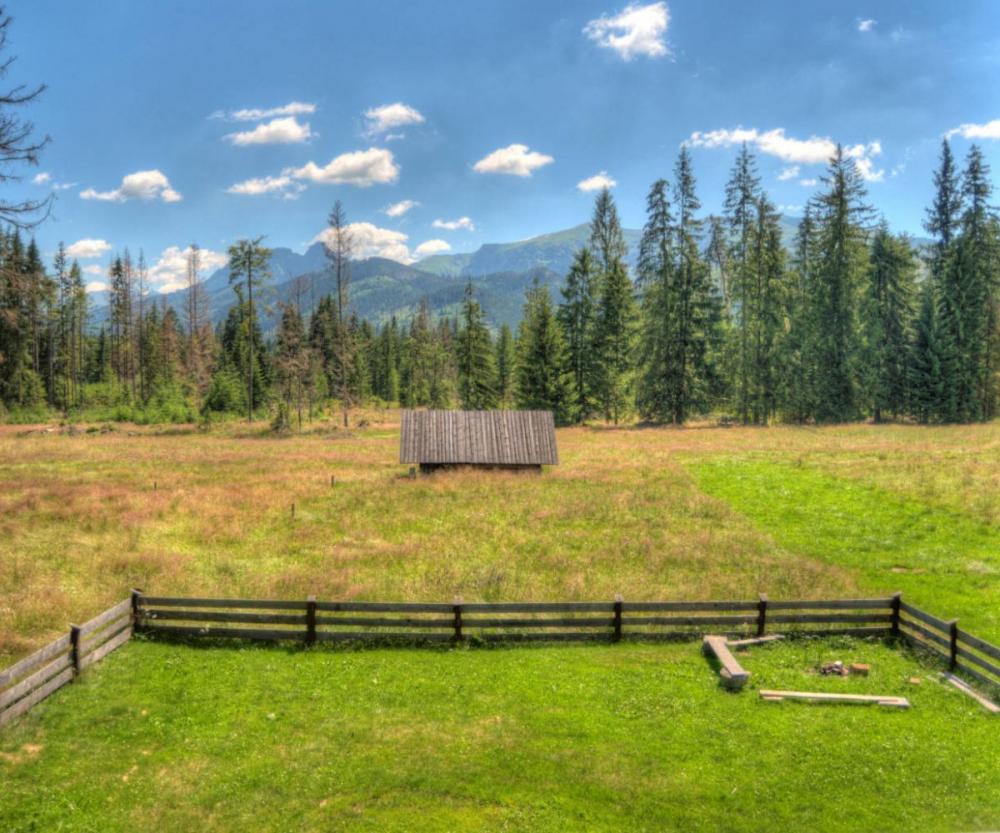 a-lovely-log-cabin-that-s-inspired-by-nature